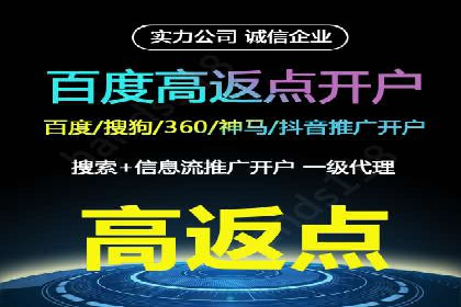 SEM搜索引擎优化成功案例，揭示优化策略与技巧